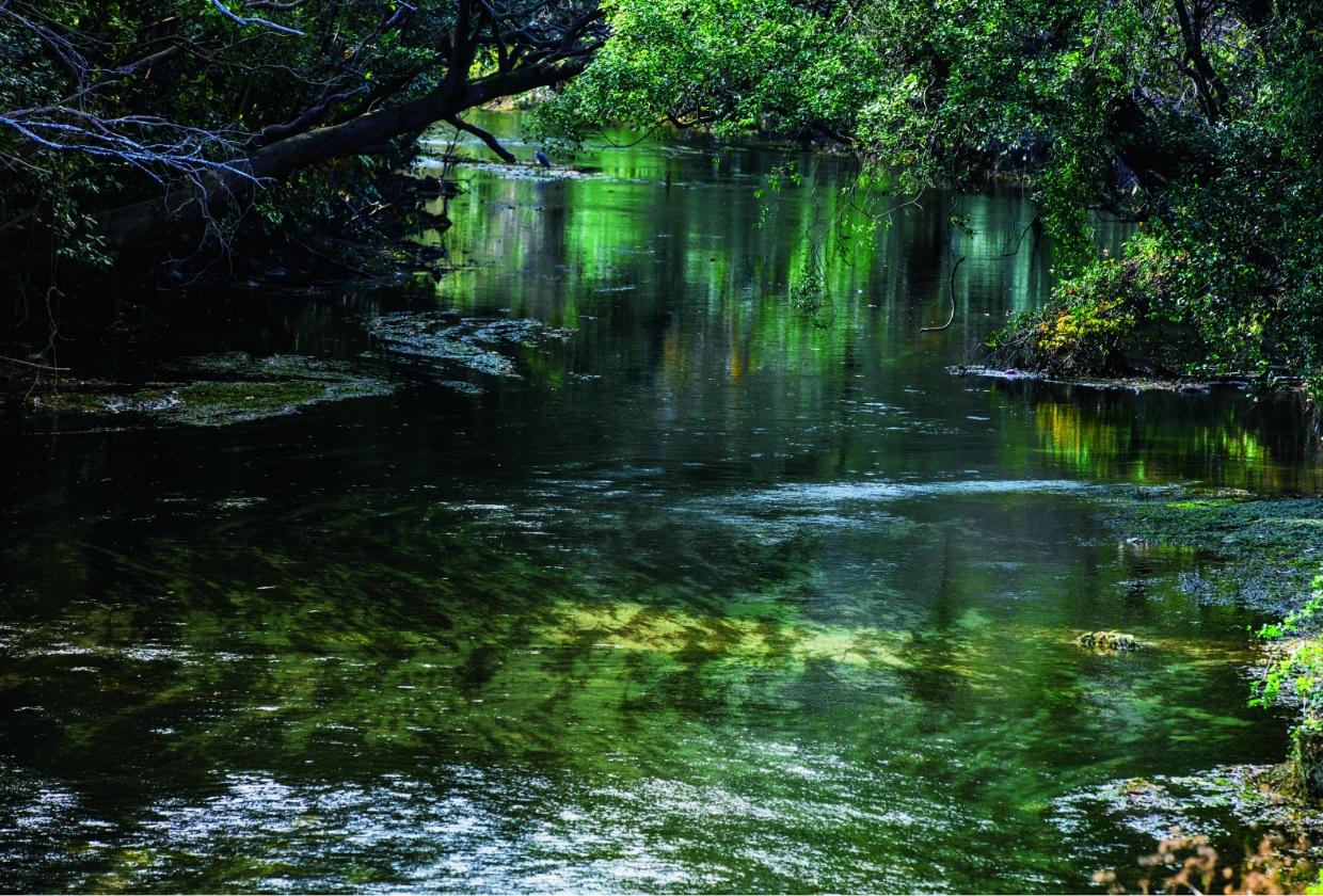 Sacred Boundary “Purification River”
