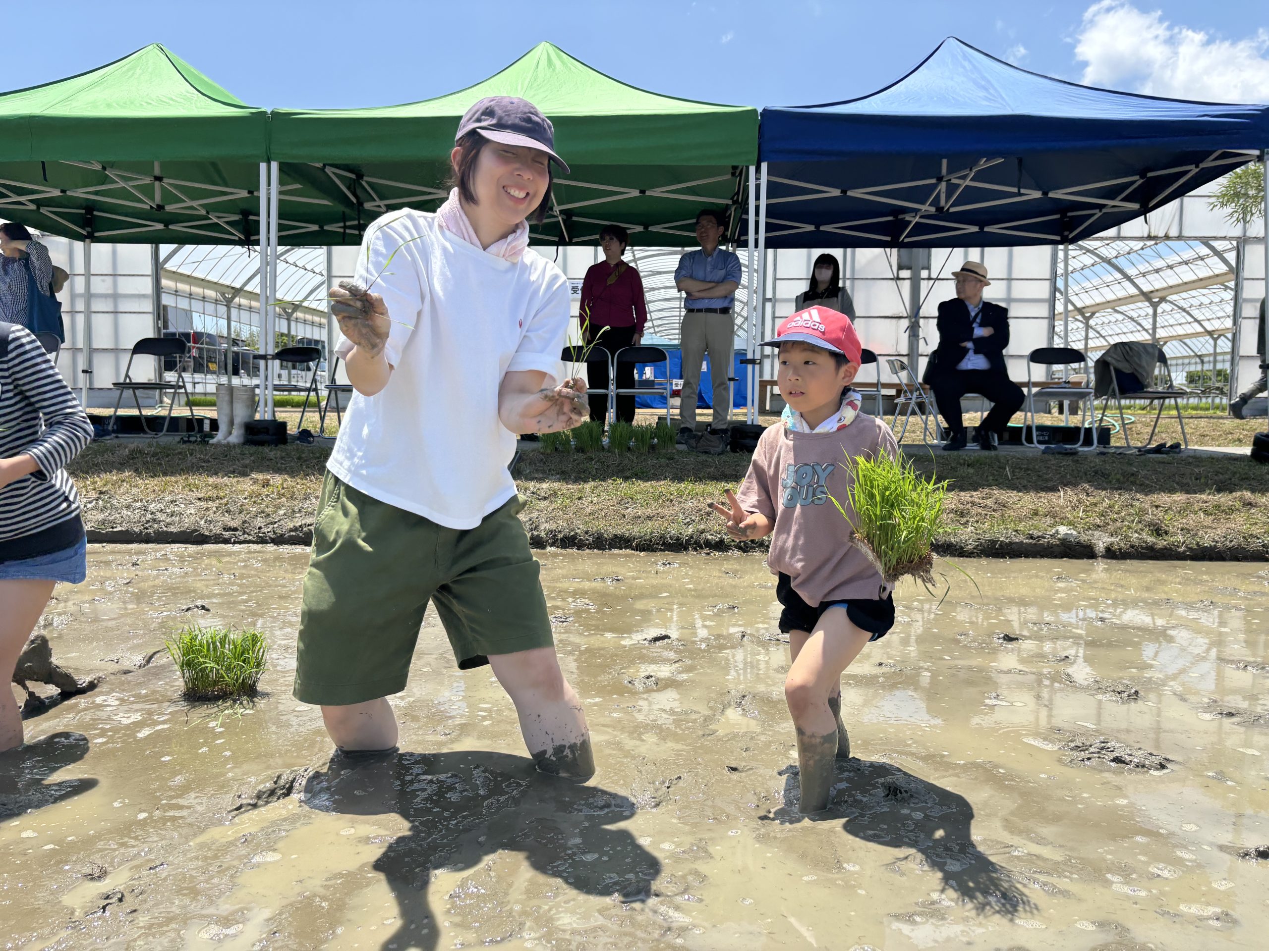 酒米田植え体験
