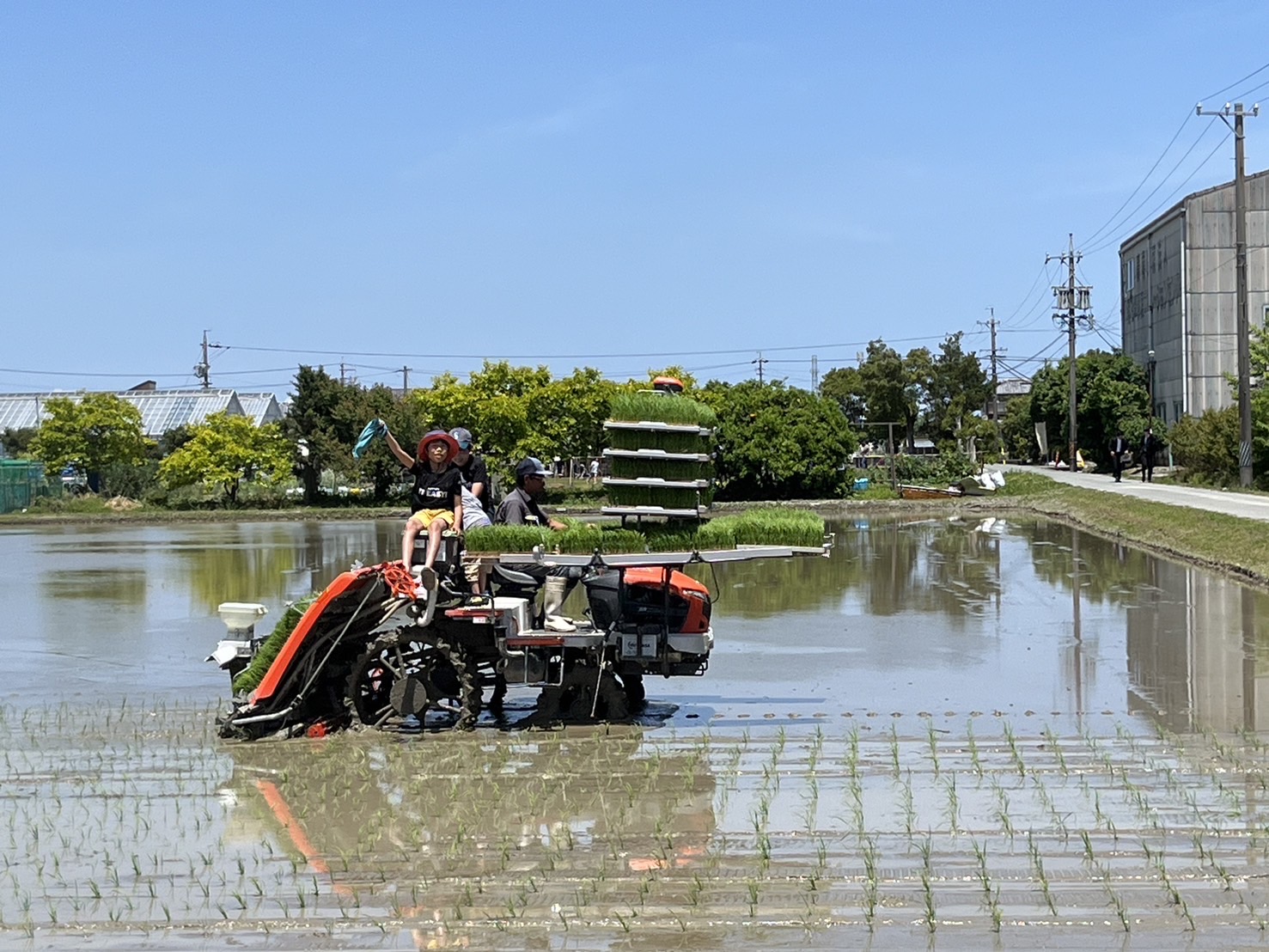 田植え機乗車体験